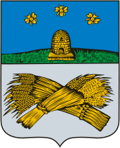 город Шацк